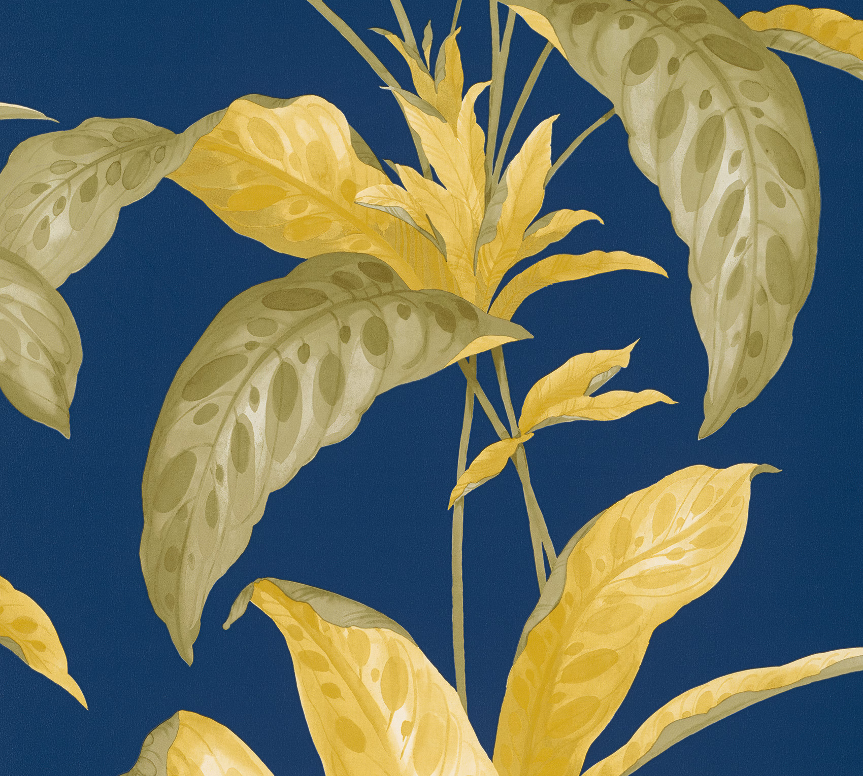 Обои Paint & Paper Library Botany Tropicane Plimsoll 0360TRPLIMS